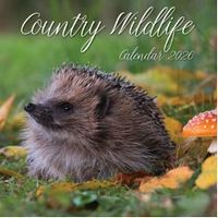 Country Wildlife 2026 Wall Calendar