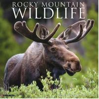 Rocky Mountain Wildlife 2026 Wall Calendar