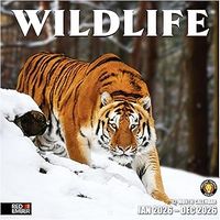 Wildlife 2026 Calendar