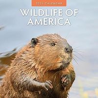 Wildlife of America 2026 Calendar