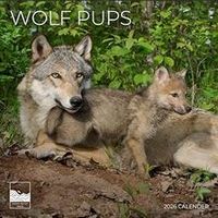 Wolf Pups 2026 Wall Calendar