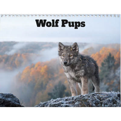 Wolf Pups 2027 Wall Calendar