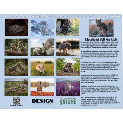 Wolf Pups 2027 Wall Calendar