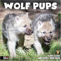 Wolf Pups 2026 Wall Calendar