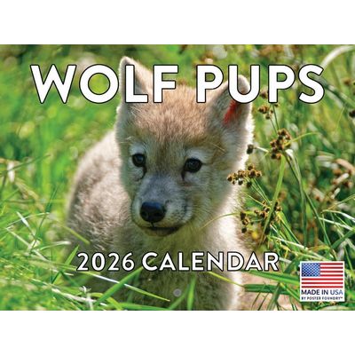Wolf Pups 2026 Wall Calendar