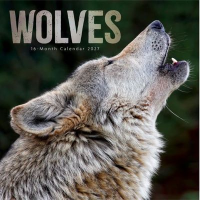 Wolves 2027 Wall Calendar