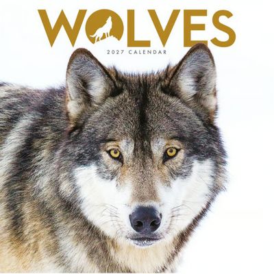 Wolves 2027 Mini Wall Calendar