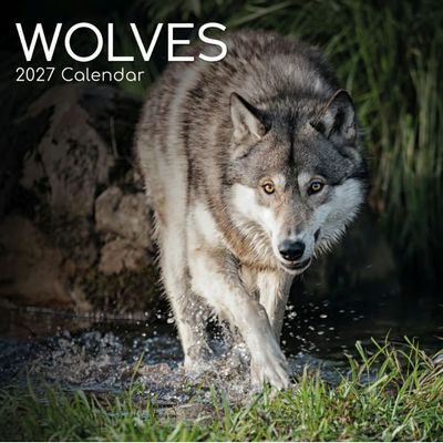 Wolves 2027 Wall Calendar