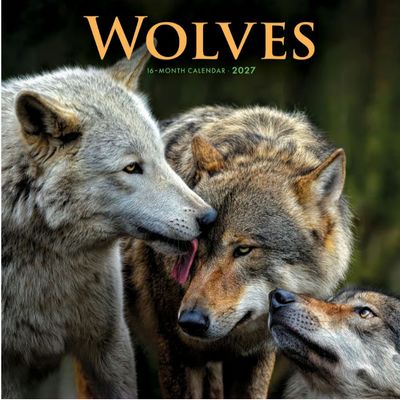 Wolves 2027 Wall Calendar