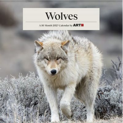 Wolves 2027 Wall Calendar