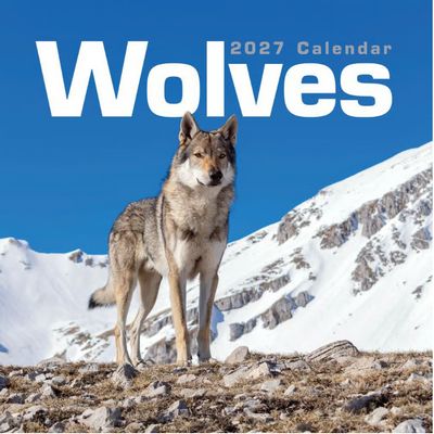 Wolves 2027 Wall Calendar