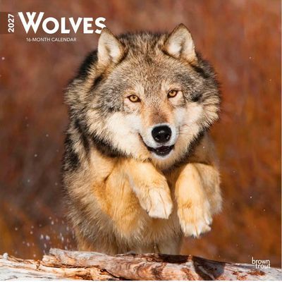 Wolves 2027 Wall Calendar