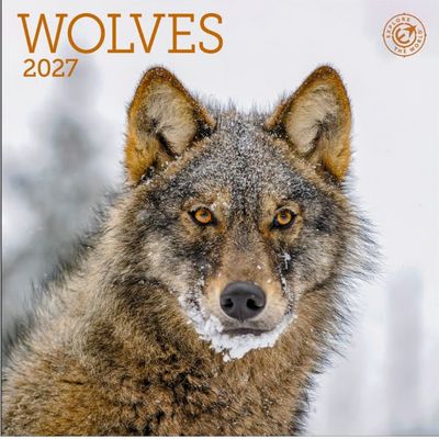 Wolves 2027 Mini Wall Calendar