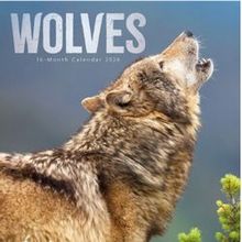 Wolves 2026 Wall Calendar