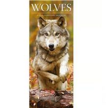Wolves Vertical 2026 Wall Calendar
