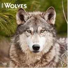 Wolves 2026 Wall Calendar