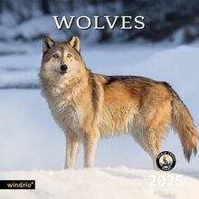 Wolves 2026 Wall Calendar