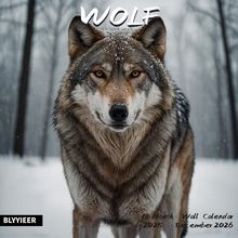 Wolves 2026 Wall Calendar