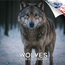 Wolves 2026 Wall Calendar