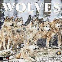 Wolves 2026 Wall Calendar