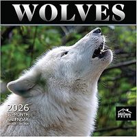 Wolves 2026 Wall Calendar