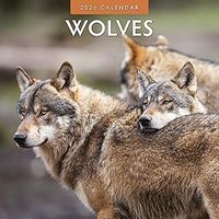 Wolves 2026 Wall Calendar