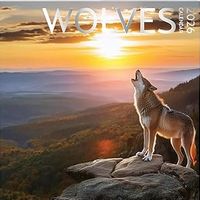 Wolves 2026 Wall Calendar