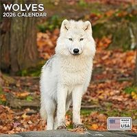 Wolves 2026 Wall Calendar
