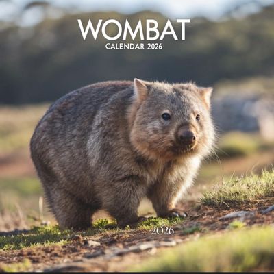 Wombat 2026 Calendar