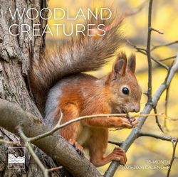 Woodland Creatures 2026 Calendar