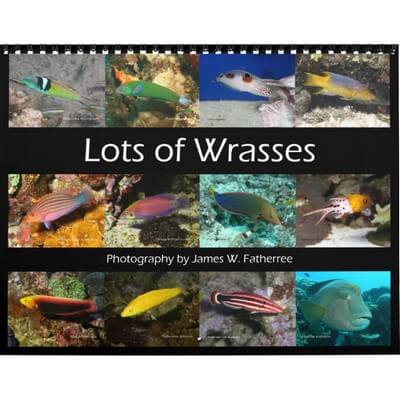 Wrasses 2027 Wall Calendar