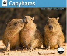 Capybaras WWF 2026 Wall Calendar