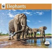 Elephants WWF 2026 Wall Calendar