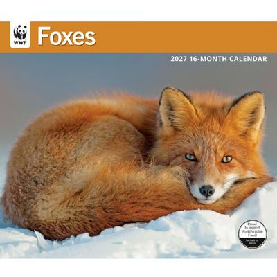 WWF Foxes 2027 Wall Calendar