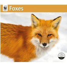 Foxes WWF 2026 Wall Calendar