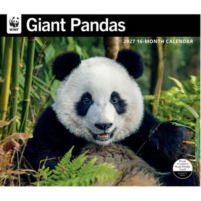 WWF Giant Pandas 2027 Wall Calendar
