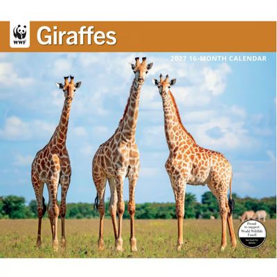 WWF Giraffes 2027 Wall Calendar