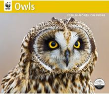 Owls WWF 2026 Wall Calendar