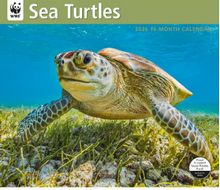 Sea Turtles WWF 2026 Wall Calendar