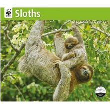 Sloths WWF 2026 Wall Calendar