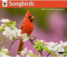 Songbirds WWF 2026 Wall Calendar