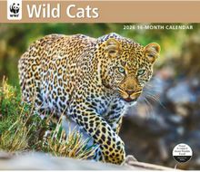 Wild Cats WWF 2026 Wall Calendar