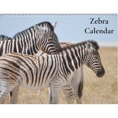 Zebras 2027 Wall Calendar