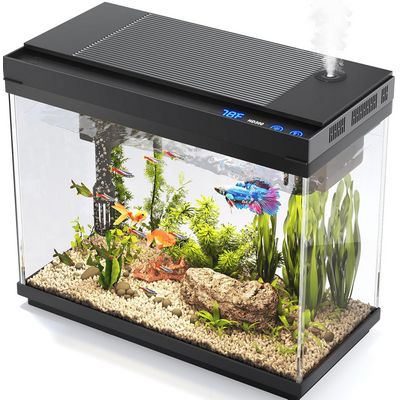 Aquariums and Fish Tanks