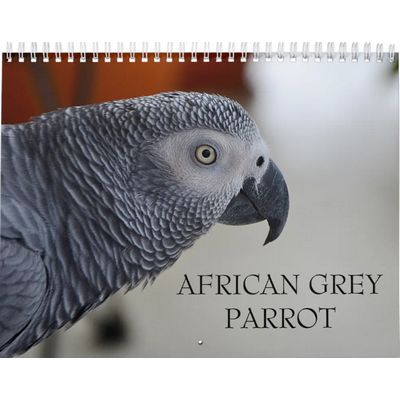 African Grey Parrot Calendar