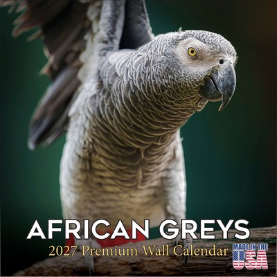 African Greys 2027 Calendar