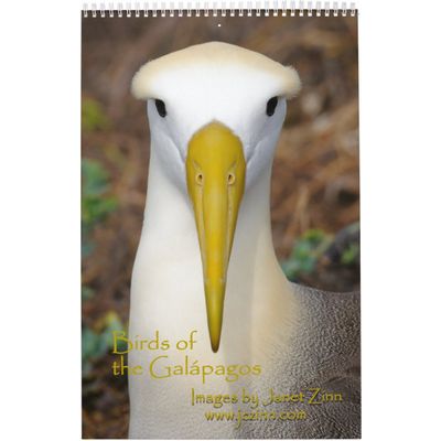 Birds of the Galapagos Calendar