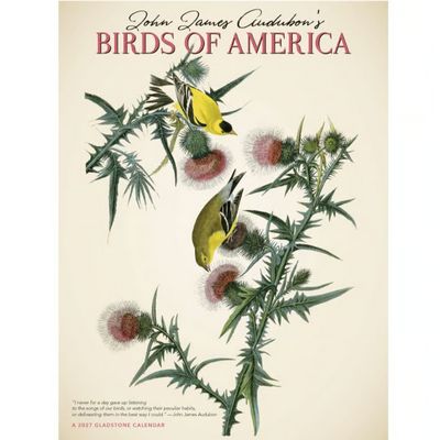 Audubon Birds of America 2027 Wall Calendar by Gladstone Media