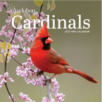 Audubon Cardinals 2027 Mini Wall Calendar