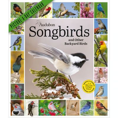 Audubon Songbirds and Other Backyard Birds Picture-A-Day 2027 Wall Calendar